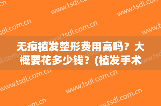 无痕植发整形费用高吗？大概要花多少钱？(植发手术的费用贵不贵)