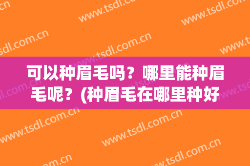 可以种眉毛吗？哪里能种眉毛呢？(种眉毛在哪里种好)