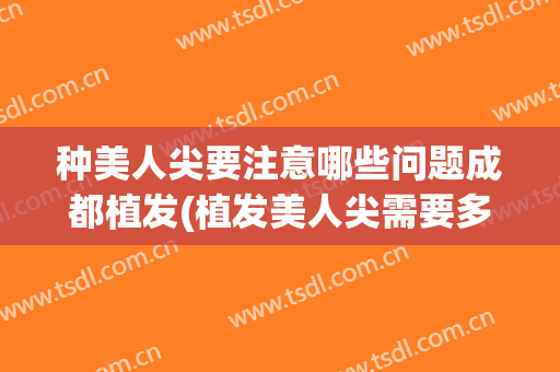 种美人尖要注意哪些问题成都植发(植发美人尖需要多少钱)