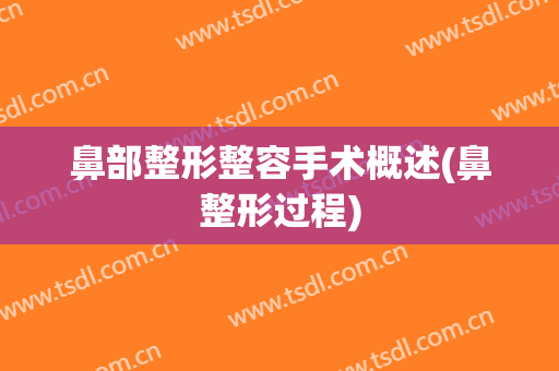 鼻部整形整容手术概述(鼻整形过程)