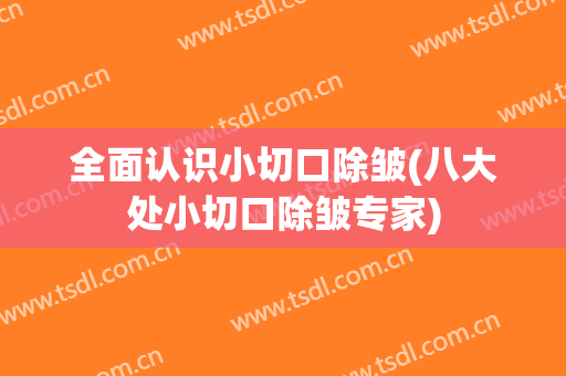 全面认识小切口除皱(八大处小切口除皱专家)