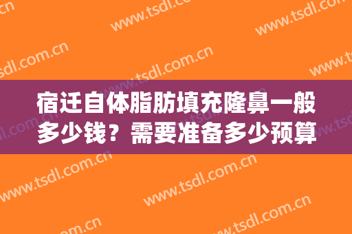 宿迁自体脂肪填充隆鼻一般多少钱？需要准备多少预算呢？(自体脂肪隆鼻价格大约是多少)