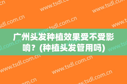 广州头发种植效果受不受影响？(种植头发管用吗)
