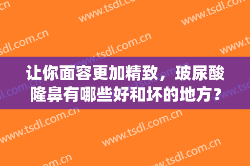 让你面容更加精致，玻尿酸隆鼻有哪些好和坏的地方？(玻尿酸隆鼻好吗?)
