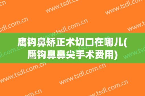 鹰钩鼻矫正术切口在哪儿(鹰钩鼻鼻尖手术费用)
