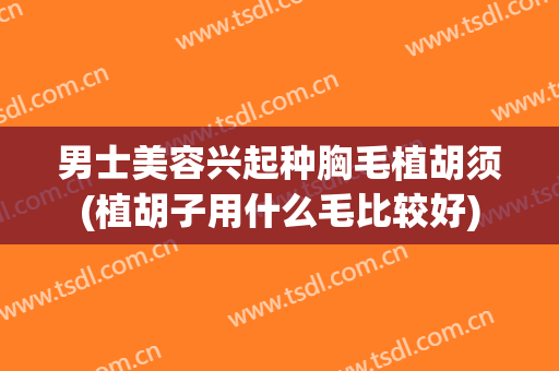 男士美容兴起种胸毛植胡须(植胡子用什么毛比较好)