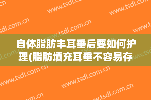 自体脂肪丰耳垂后要如何护理(脂肪填充耳垂不容易存活吗)