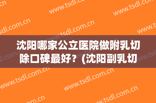 沈阳哪家公立医院做附乳切除口碑最好？(沈阳副乳切除哪家医院好)