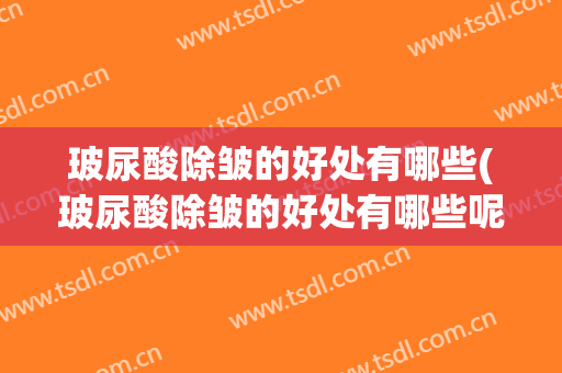 玻尿酸除皱的好处有哪些(玻尿酸除皱的好处有哪些呢)