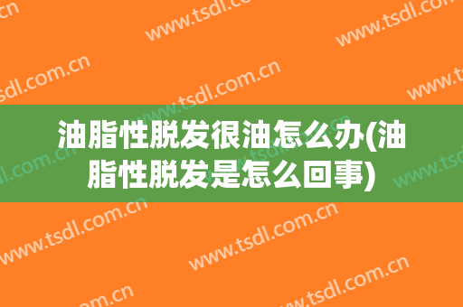 油脂性脱发很油怎么办(油脂性脱发是怎么回事)