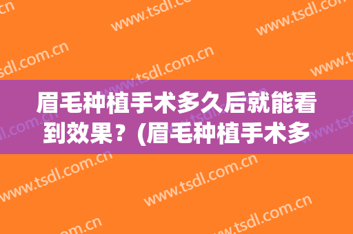 眉毛种植手术多久后就能看到效果？(眉毛种植手术多久后就能看到效果啦)
