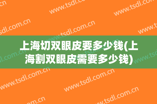 上海切双眼皮要多少钱(上海割双眼皮需要多少钱)