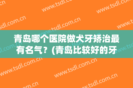 青岛哪个医院做犬牙矫治最有名气？(青岛比较好的牙医)