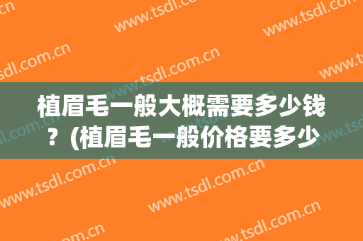 植眉毛一般大概需要多少钱？(植眉毛一般价格要多少钱 是长期吗)