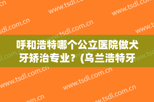 呼和浩特哪个公立医院做犬牙矫治专业？(乌兰浩特牙齿矫正什么医院好)