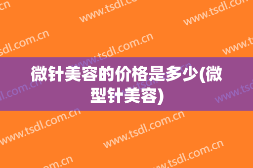 微针美容的价格是多少(微型针美容)