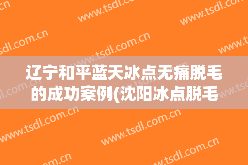 辽宁和平蓝天冰点无痛脱毛的成功案例(沈阳冰点脱毛)
