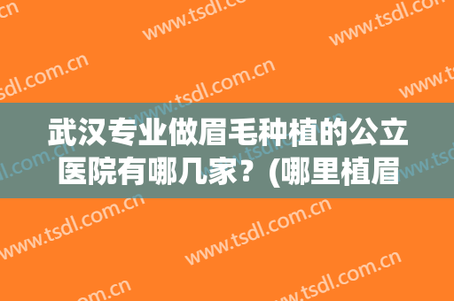 武汉专业做眉毛种植的公立医院有哪几家？(哪里植眉毛医院较好)