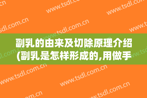 副乳的由来及切除原理介绍(副乳是怎样形成的,用做手术吗)