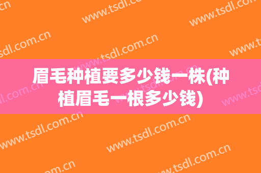 眉毛种植要多少钱一株(种植眉毛一根多少钱)