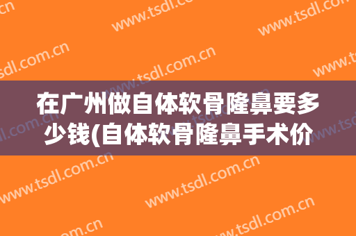在广州做自体软骨隆鼻要多少钱(自体软骨隆鼻手术价格)