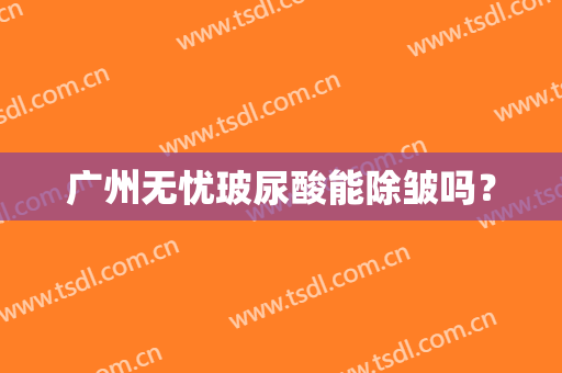 广州无忧玻尿酸能除皱吗？