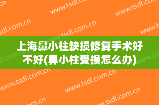 上海鼻小柱缺损修复手术好不好(鼻小柱受损怎么办)