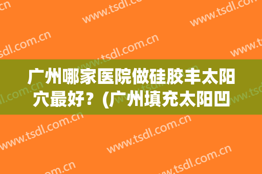 广州哪家医院做硅胶丰太阳穴最好？(广州填充太阳凹大概多少钱)