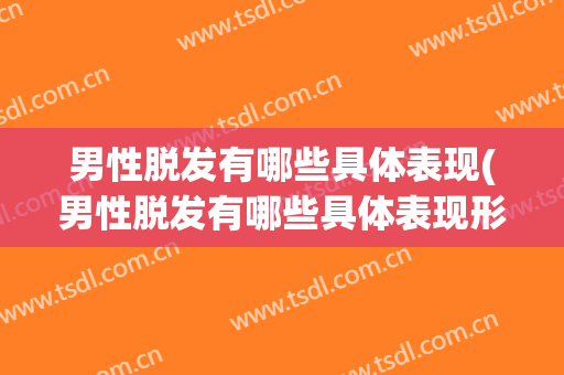 男性脱发有哪些具体表现(男性脱发有哪些具体表现形式)