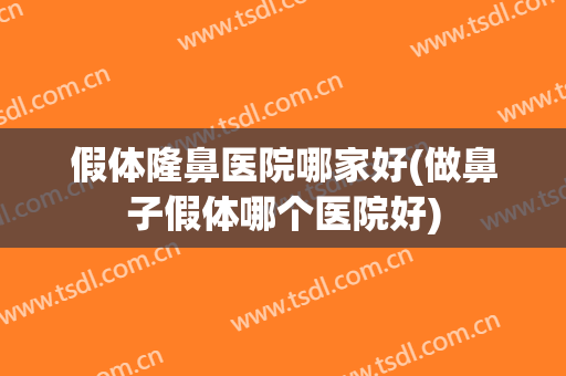 假体隆鼻医院哪家好(做鼻子假体哪个医院好)