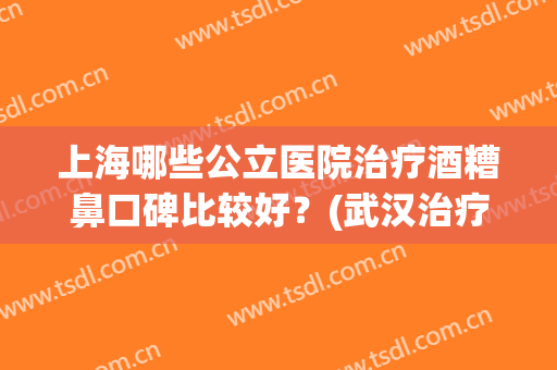 上海哪些公立医院治疗酒糟鼻口碑比较好?(武汉治疗酒糟鼻最好的医院) 上海哪些公立医院治疗酒糟鼻口碑比较好?(武汉治疗酒糟鼻最好的医院)
