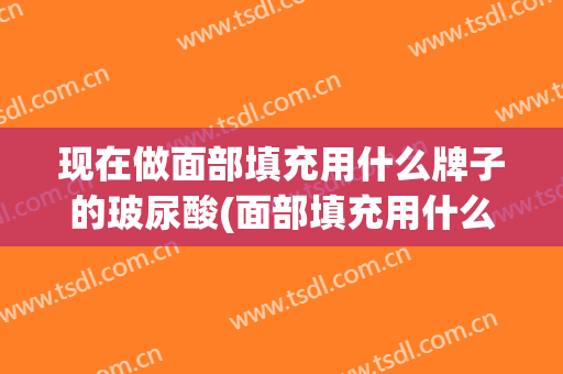 现在做面部填充用什么牌子的玻尿酸(面部填充用什么牌子玻尿酸比较好)
