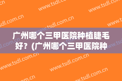 广州哪个三甲医院种植睫毛好？(广州哪个三甲医院种植睫毛好一点)