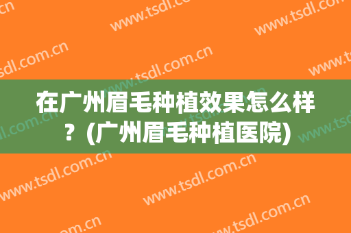在广州眉毛种植效果怎么样？(广州眉毛种植医院)