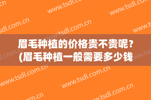 眉毛种植的价格贵不贵呢？(眉毛种植一般需要多少钱贵不贵)