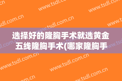 选择好的隆胸手术就选黄金五线隆胸手术(哪家隆胸手术做好)