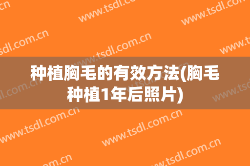 种植胸毛的有效方法(胸毛种植1年后照片)