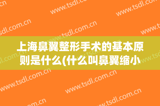 上海鼻翼整形手术的基本原则是什么(什么叫鼻翼缩小手术)