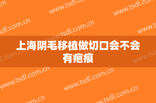 上海阴毛移植做切口会不会有疤痕