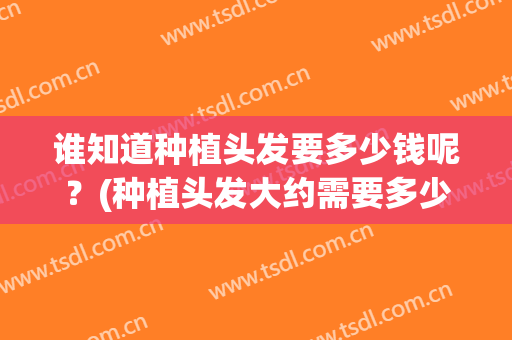 谁知道种植头发要多少钱呢？(种植头发大约需要多少钱)
