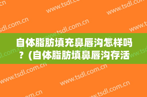 自体脂肪填充鼻唇沟怎样吗？(自体脂肪填鼻唇沟存活率)