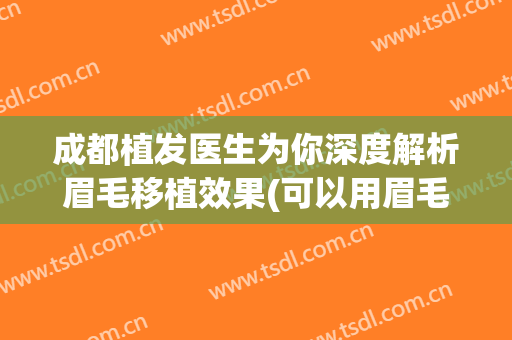 成都植发医生为你深度解析眉毛移植效果(可以用眉毛植发吗)