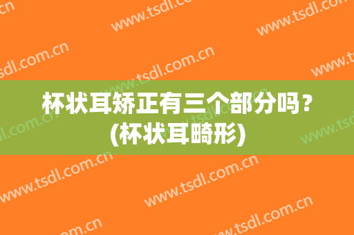 杯状耳矫正有三个部分吗？(杯状耳畸形)
