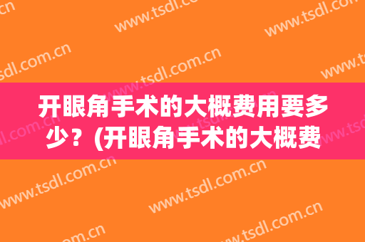 开眼角手术的大概费用要多少？(开眼角手术的大概费用要多少钱)