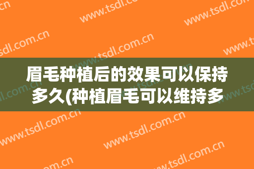 眉毛种植后的效果可以保持多久(种植眉毛可以维持多久)