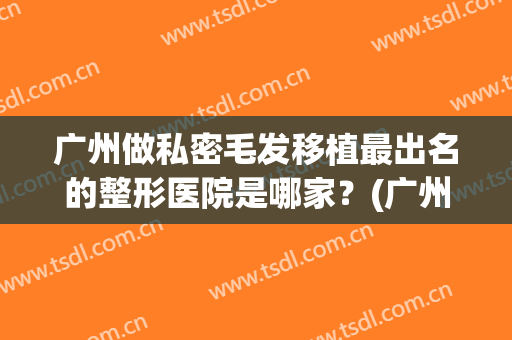 广州做私密毛发移植最出名的整形医院是哪家？(广州做私密毛发移植最出名的整形医院是哪家好)