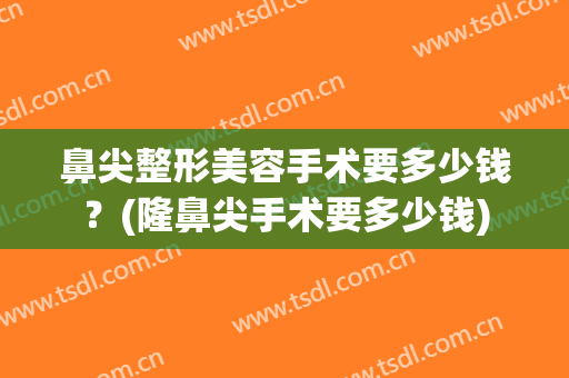 鼻尖整形美容手术要多少钱？(隆鼻尖手术要多少钱)