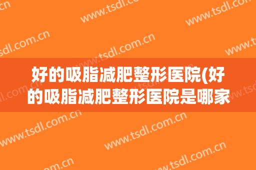 好的吸脂减肥整形医院(好的吸脂减肥整形医院是哪家)