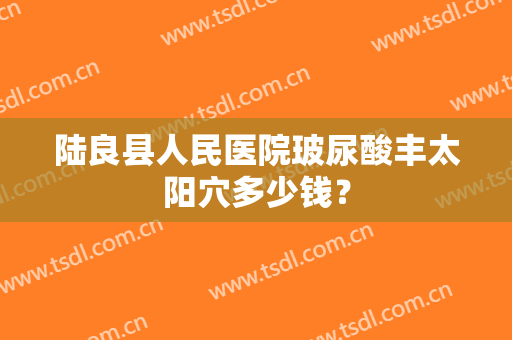 陆良县人民医院玻尿酸丰太阳穴多少钱？