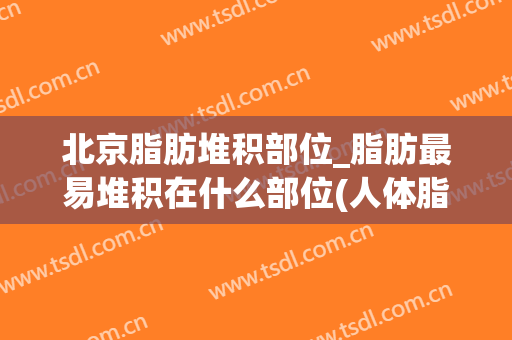北京脂肪堆积部位_脂肪最易堆积在什么部位(人体脂肪主要堆积处)
